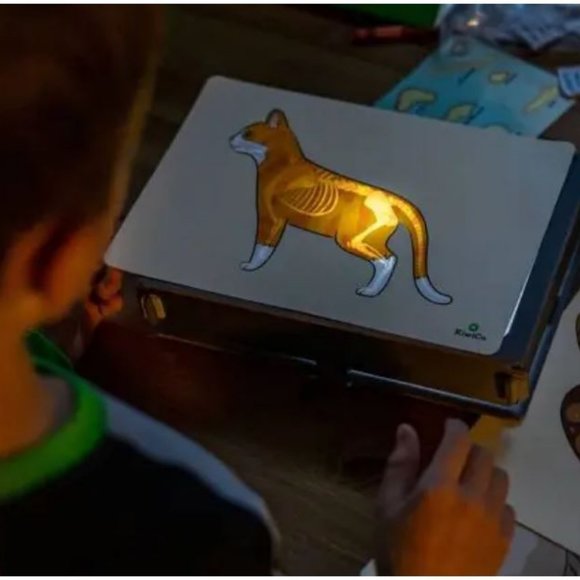 KiwiCo Kiwi Crate Science Kit Veterinarian Doctor's set X-ray lightbox Anatomy M - Picture 9 of 16